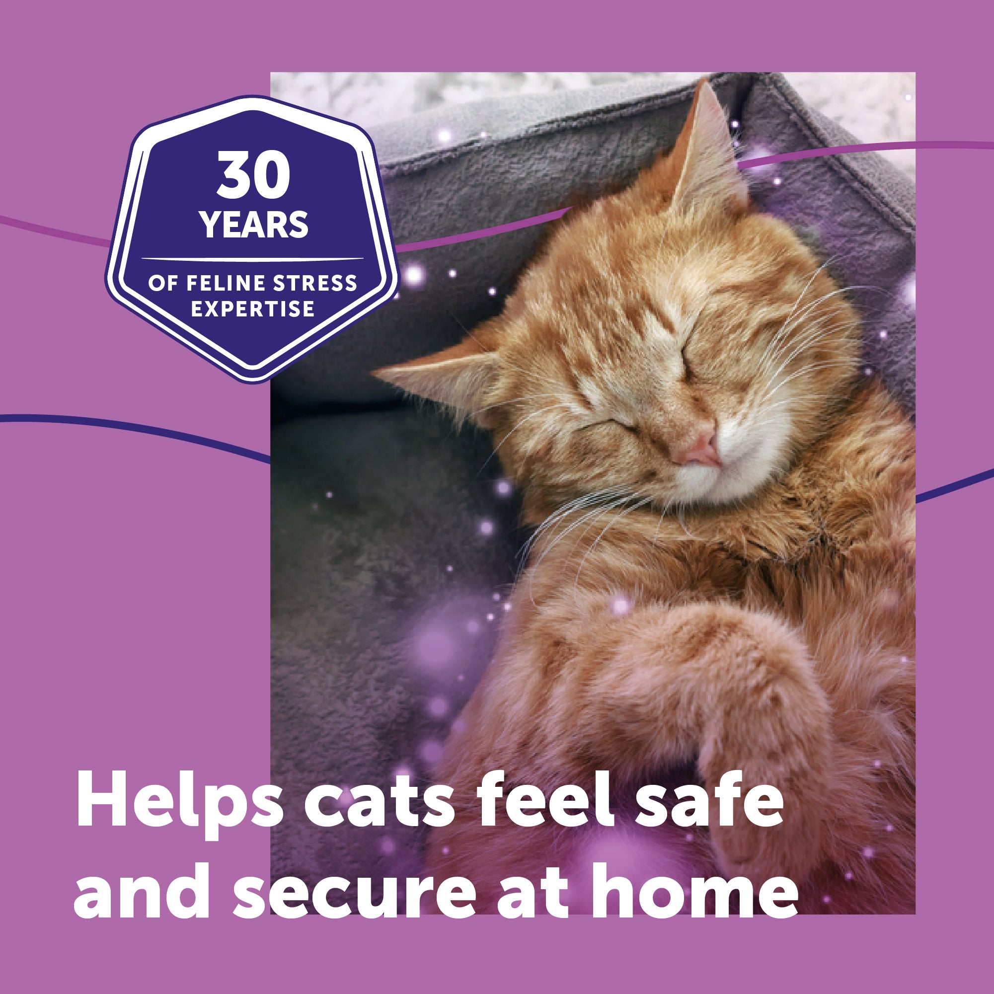 sm-image-01daab6334b94df7fd217d1d FELIWAY® Classic Refill