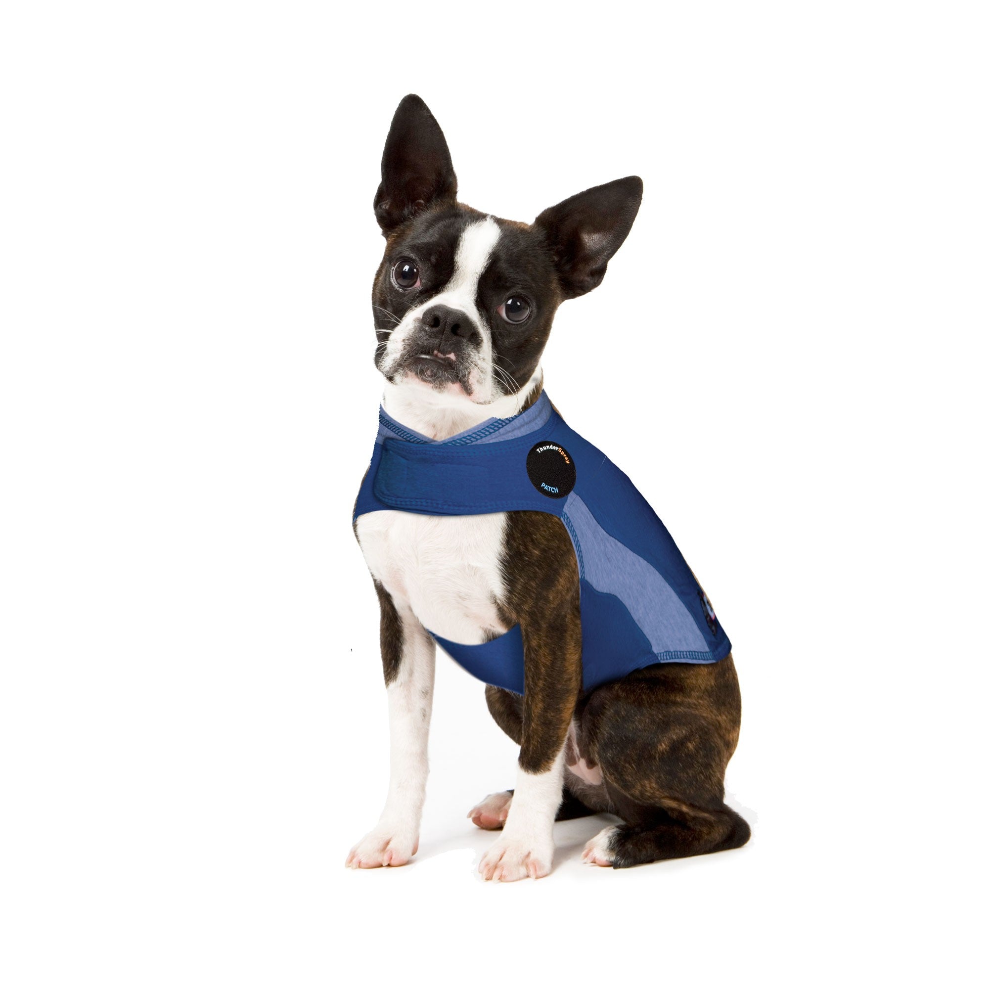 sm-image-0227123e07bee12b8bdfc863 ThunderShirt® for Dogs