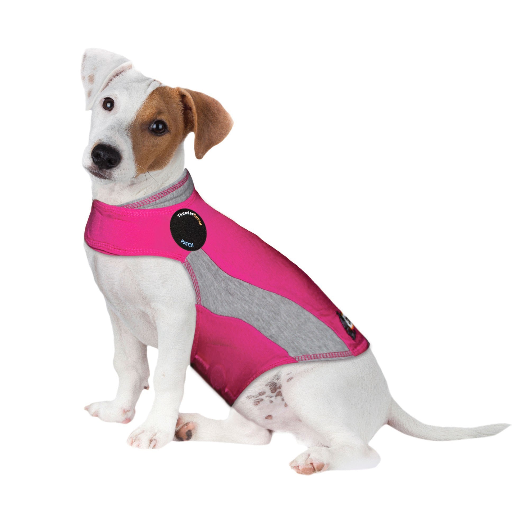 sm-image-189e4196987ee37de0228674 ThunderShirt® for Dogs