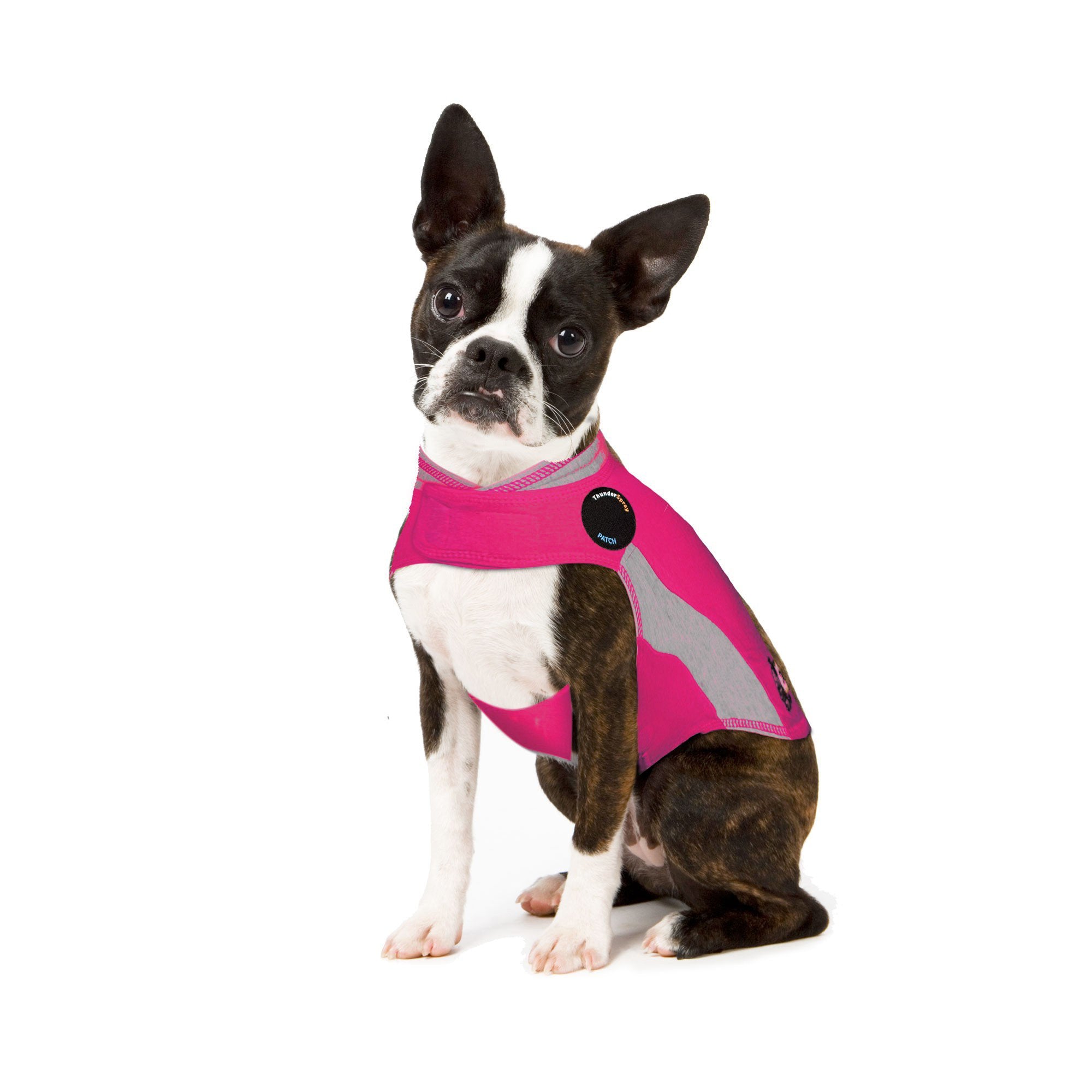 sm-image-1b88d2ecc00bed3120201b6f ThunderShirt® for Dogs