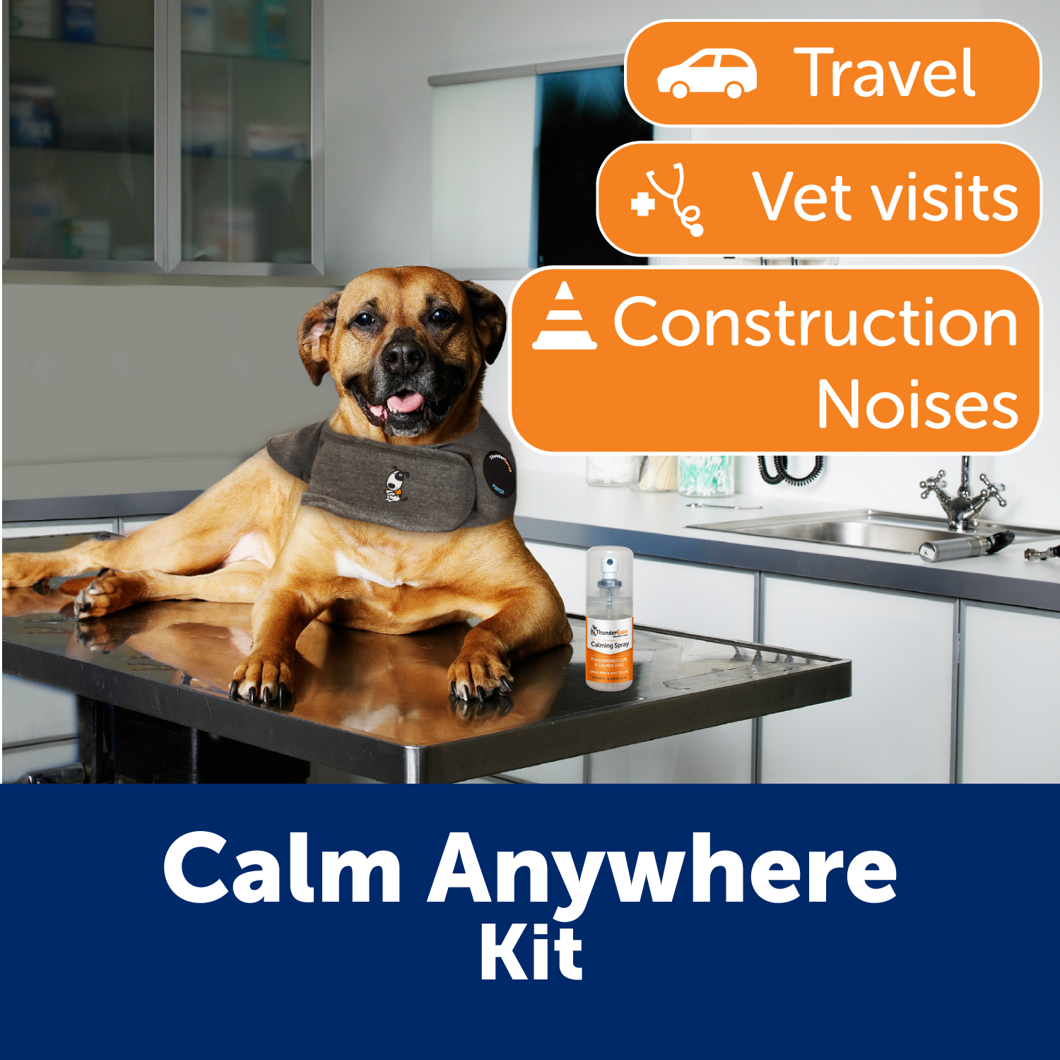 sm-image-1ec62af42a78fb49a60c1df9 Calm Anywhere Bundle