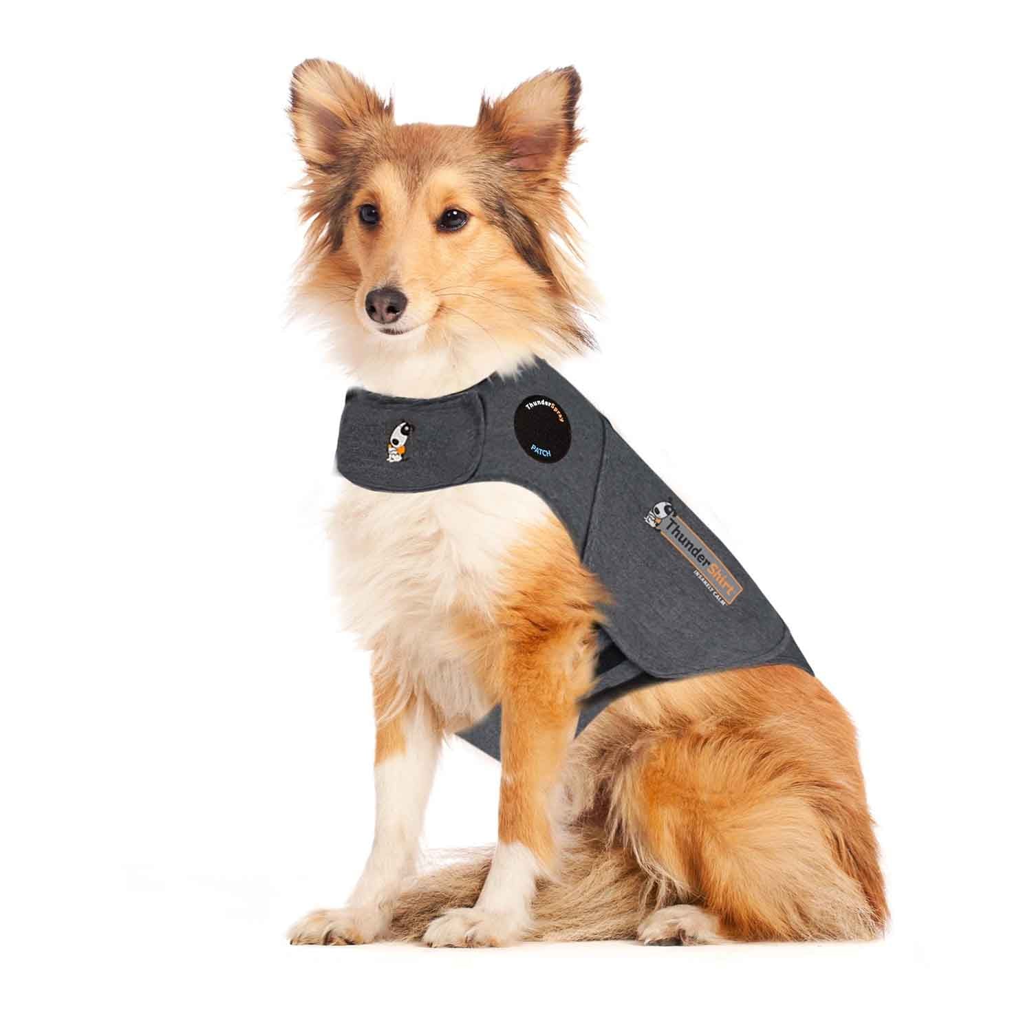 sm-image-26a9123760dd6da7b83e02cc ThunderShirt® for Dogs