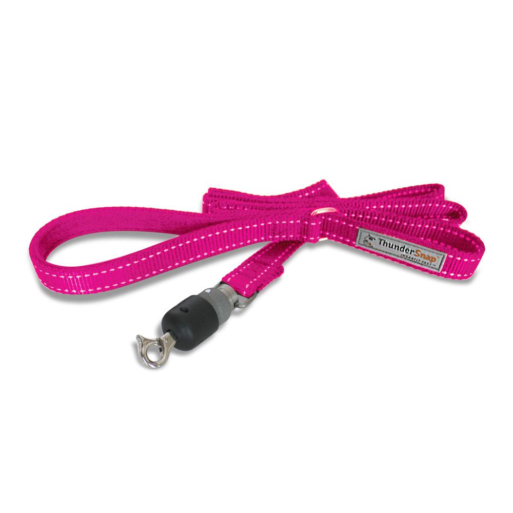 sm-image-2e9071c27232dda1b58dbb00 ThunderSnap Quick-Connect Leash for Dogs