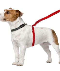 ThunderLeash®
