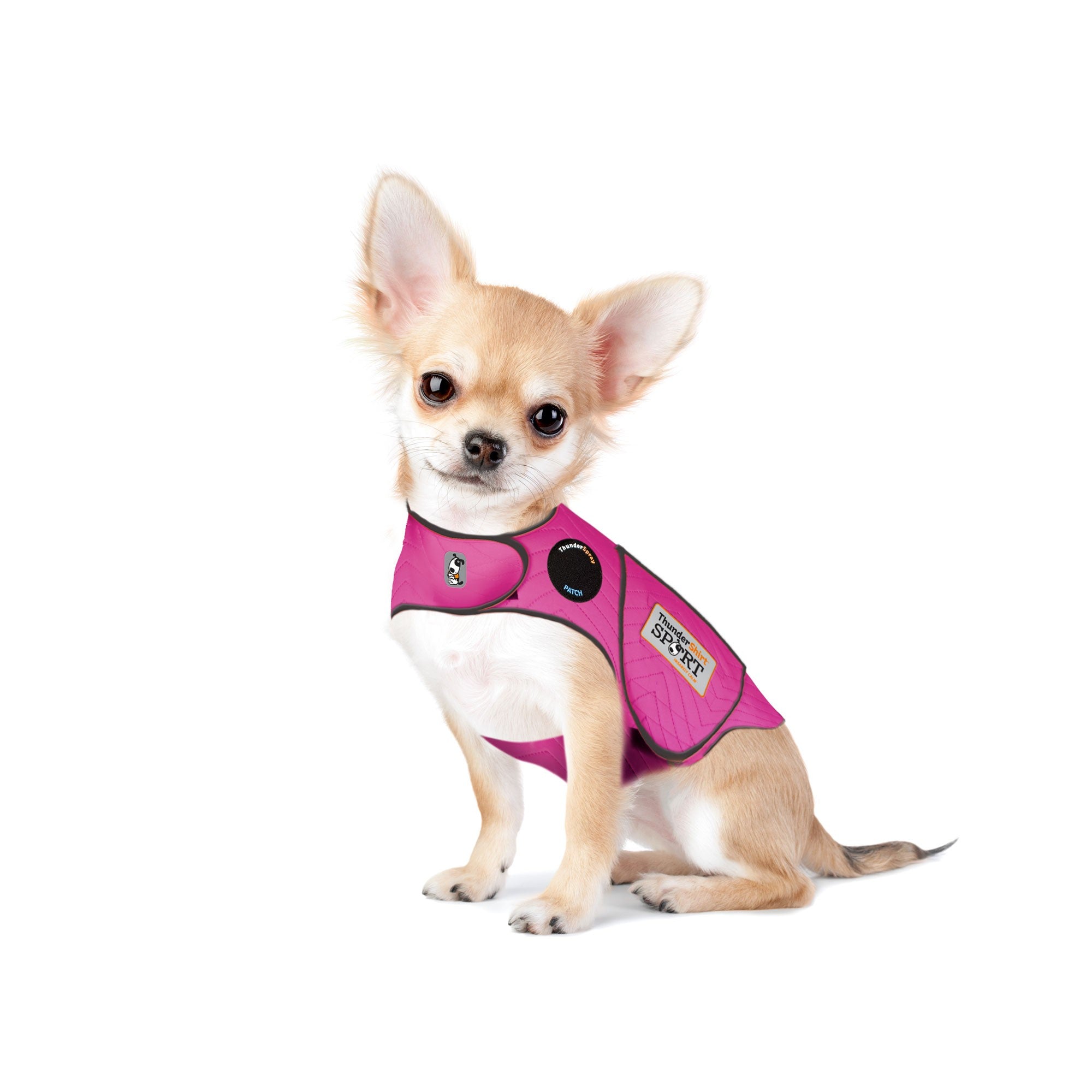 sm-image-336b8f8a21eef619f04508b8 ThunderShirt® for Dogs