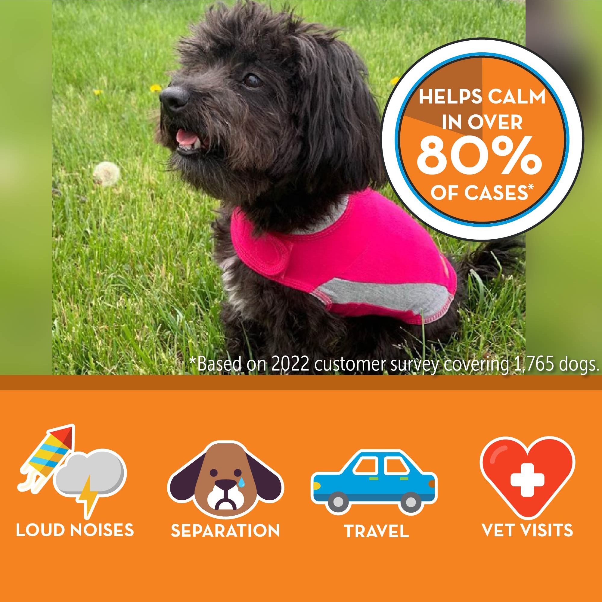 sm-image-35bd4949d40ba6a5b667612e ThunderShirt® for Dogs