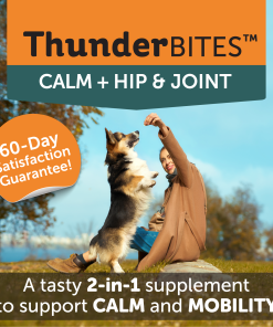 ThunderBites® Calm + Hip & Joint Daily Soft Chews for Dogs