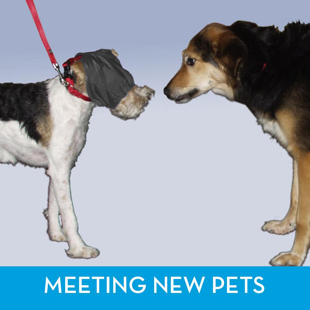 sm-image-367671ce7fabd244606e084e ThunderCap for Dogs