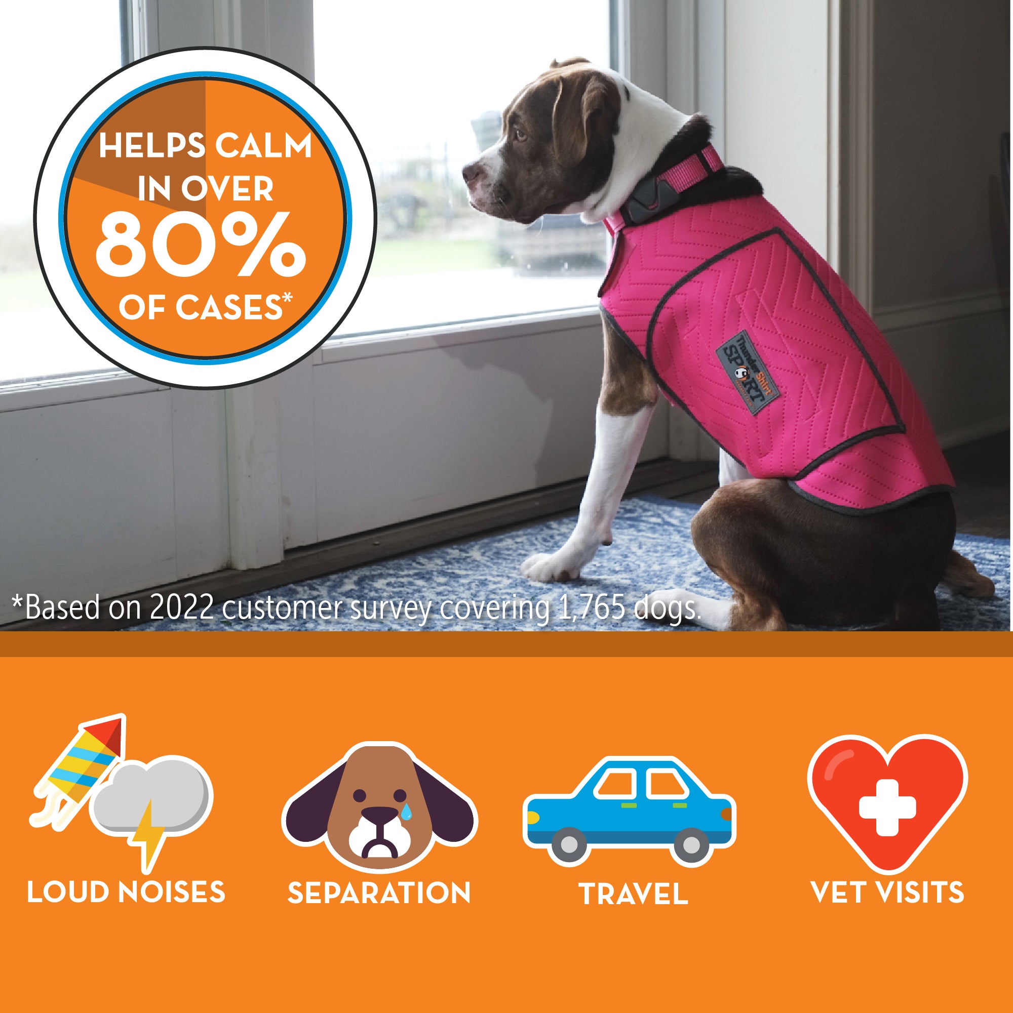 sm-image-3919b0bd7c50302f9fa3b1b4 ThunderShirt® for Dogs