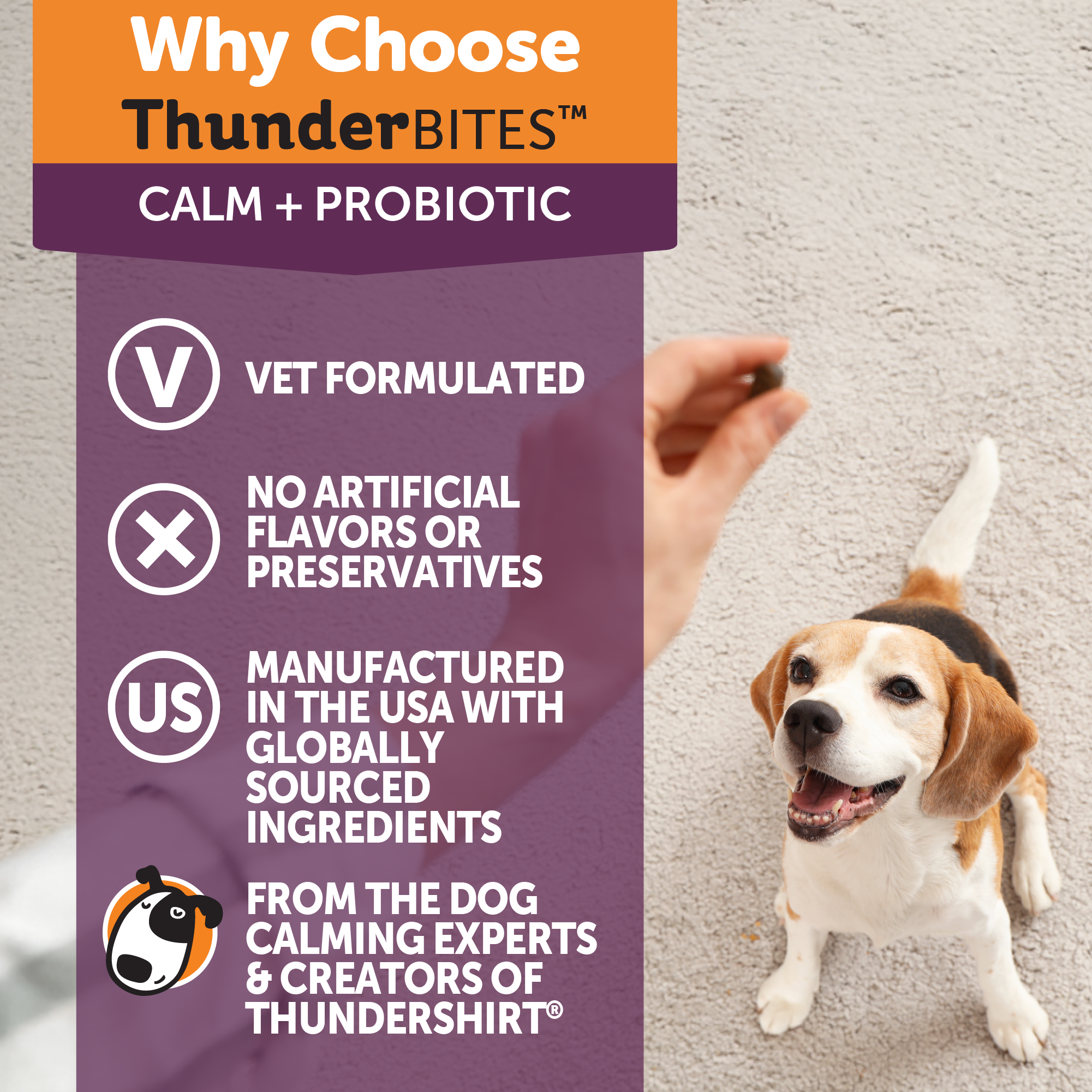 sm-image-3ab2ffcb0d0e5e9f49739132 ThunderBites® Calm + Probiotic Daily Soft Chews for Dogs