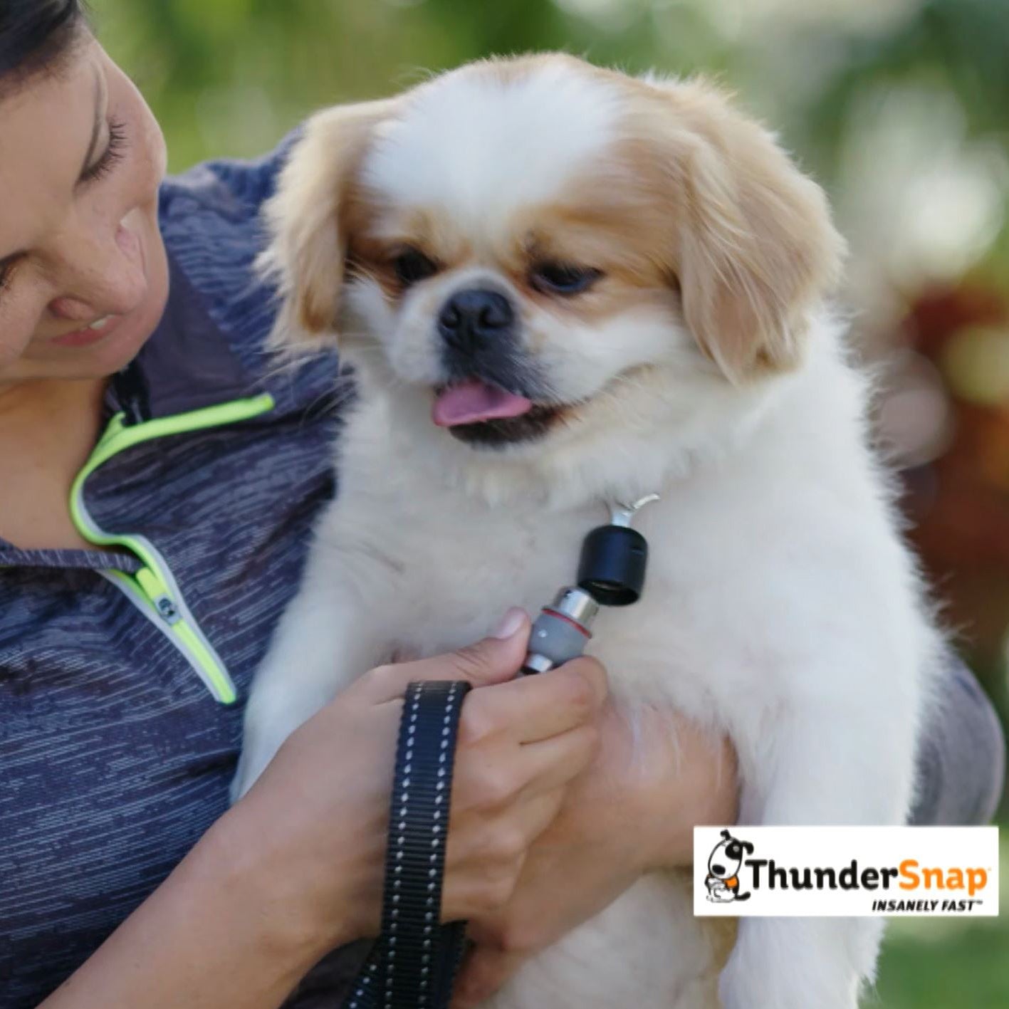 sm-image-3b5fea5198b806851a24629b ThunderSnap Quick-Connect Leash for Dogs