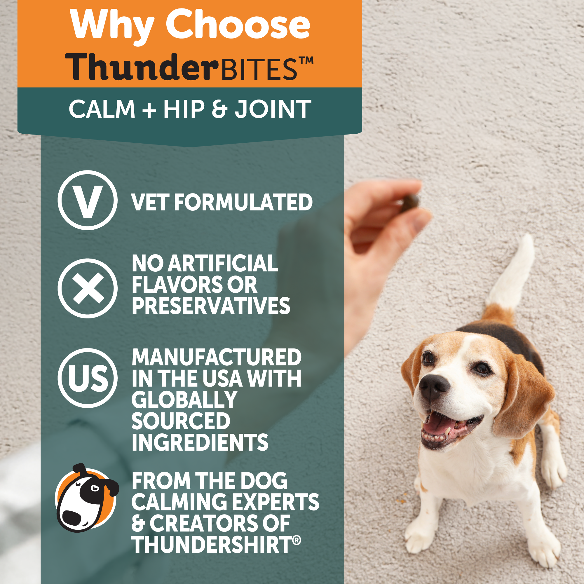 sm-image-40313c0acc8b4d5c22c01f49 ThunderBites® Calm + Hip & Joint Daily Soft Chews for Dogs