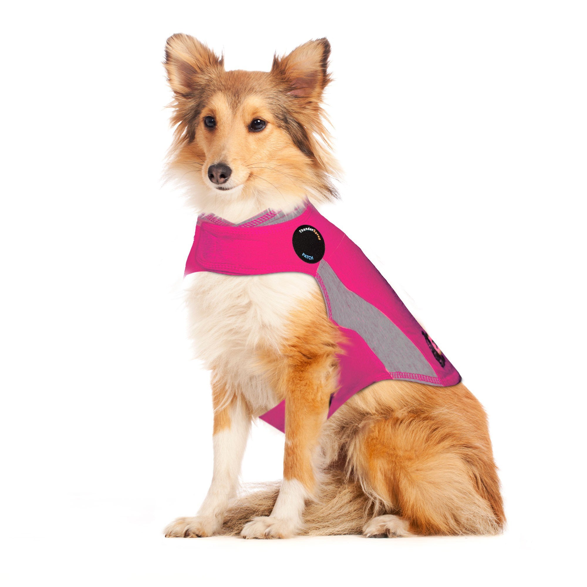 sm-image-405e7c4fbcc39a02468710e0 ThunderShirt® for Dogs