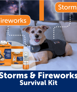Summer Survival Bundle