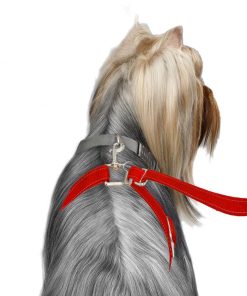 ThunderLeash®