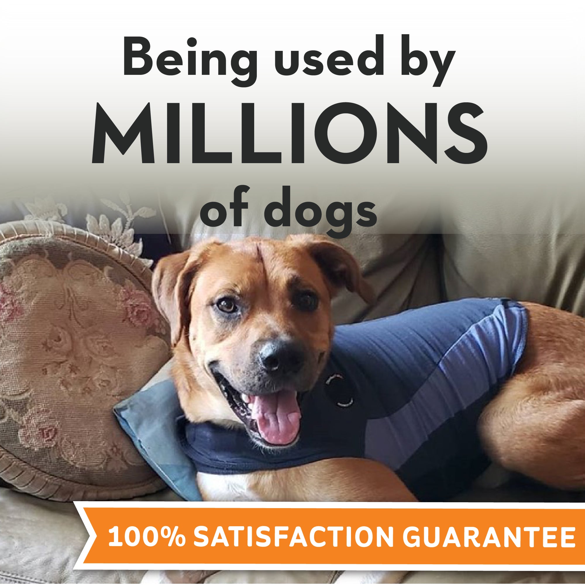 sm-image-518647a10ab08be8e9386420 ThunderShirt® for Dogs