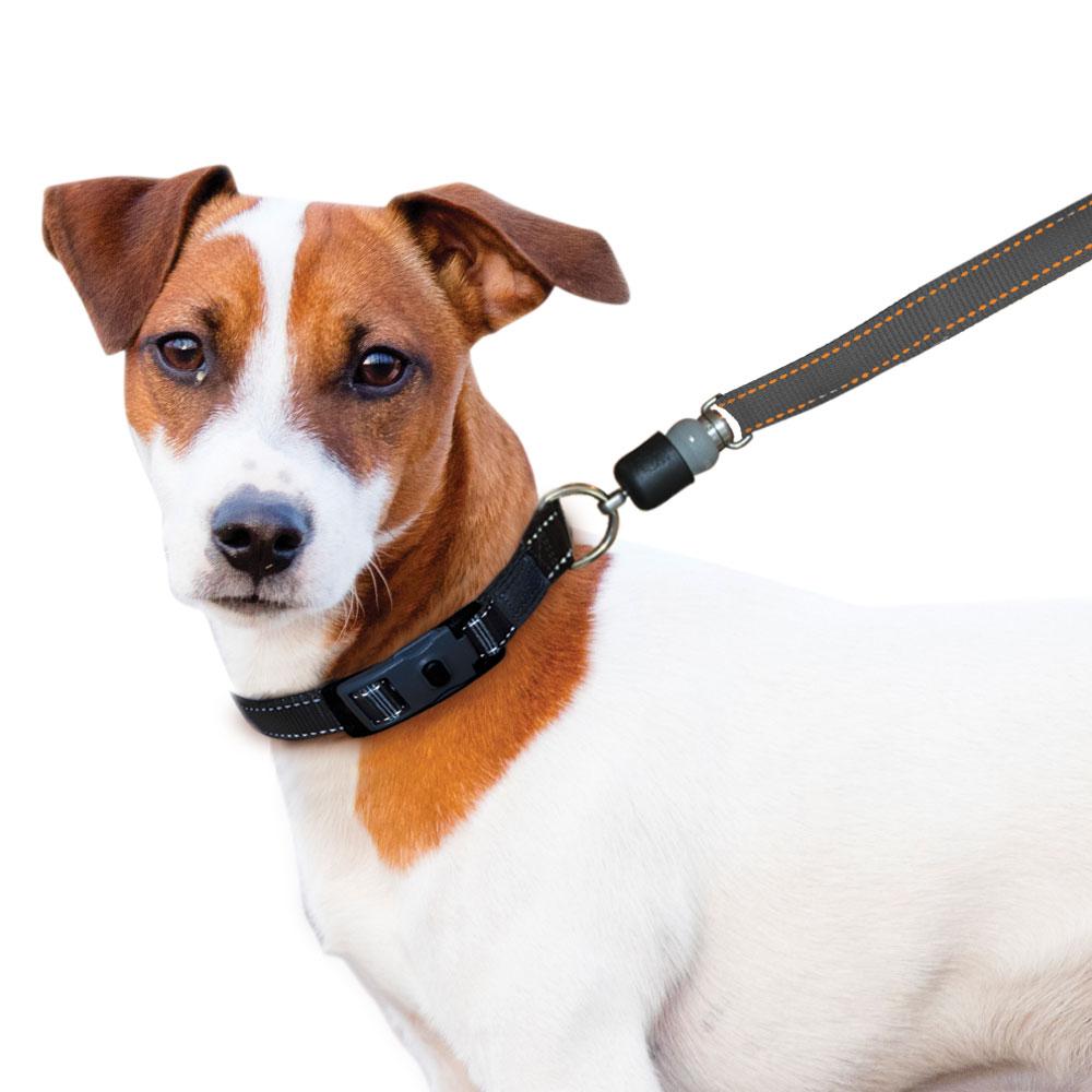 sm-image-69e4d37105e3feda025de5af ThunderSnap Quick-Connect Leash for Dogs