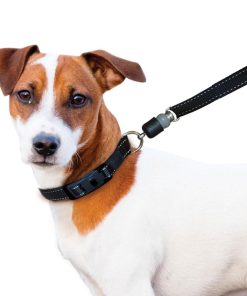 ThunderSnap Quick-Connect Leash for Dogs