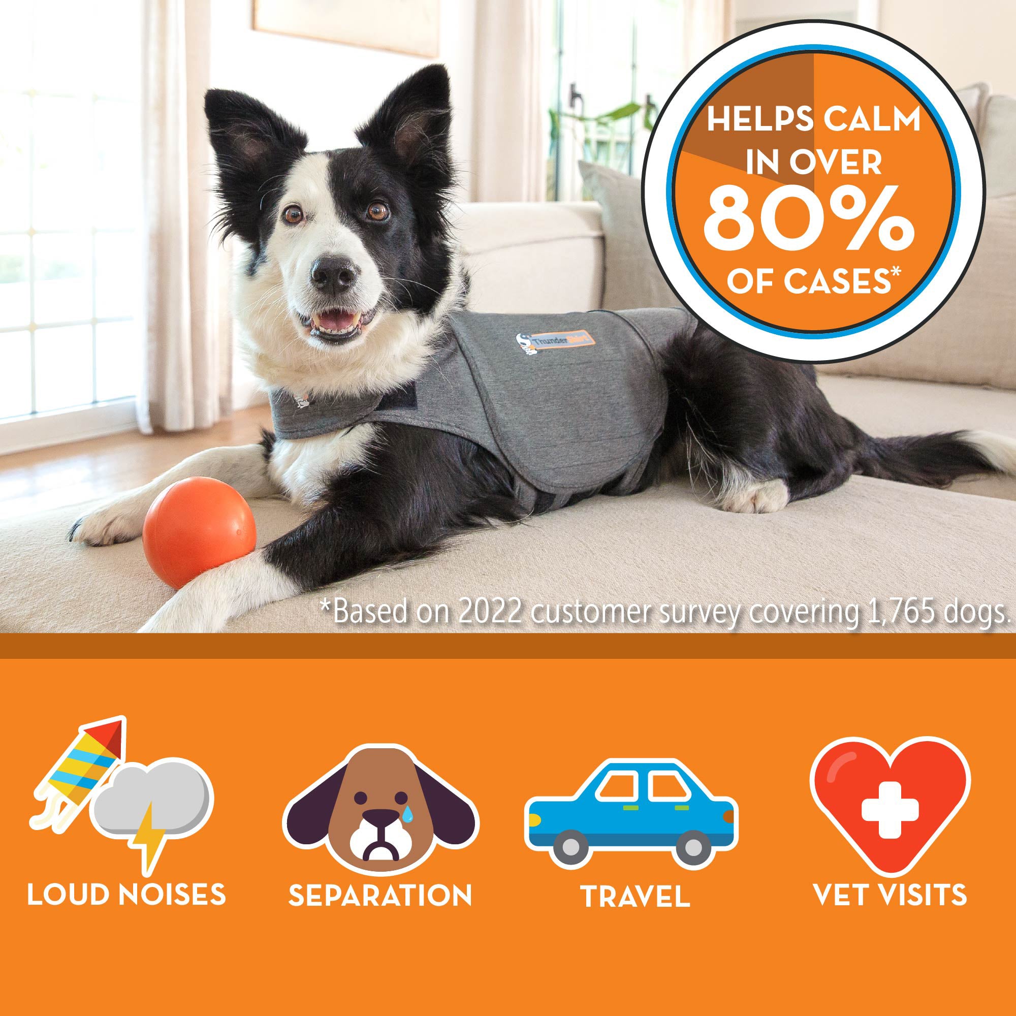 sm-image-6e59750c60dfbb6c69183835 ThunderShirt® for Dogs