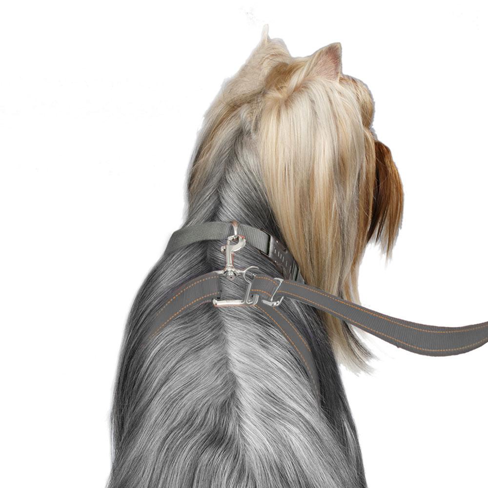 sm-image-6ee82a14a21f6c7e4f23bc7c ThunderLeash®