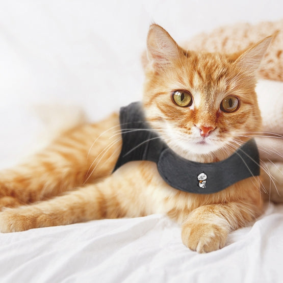 sm-image-6f059e82eed89854645e98ba ThunderShirt® for Cats