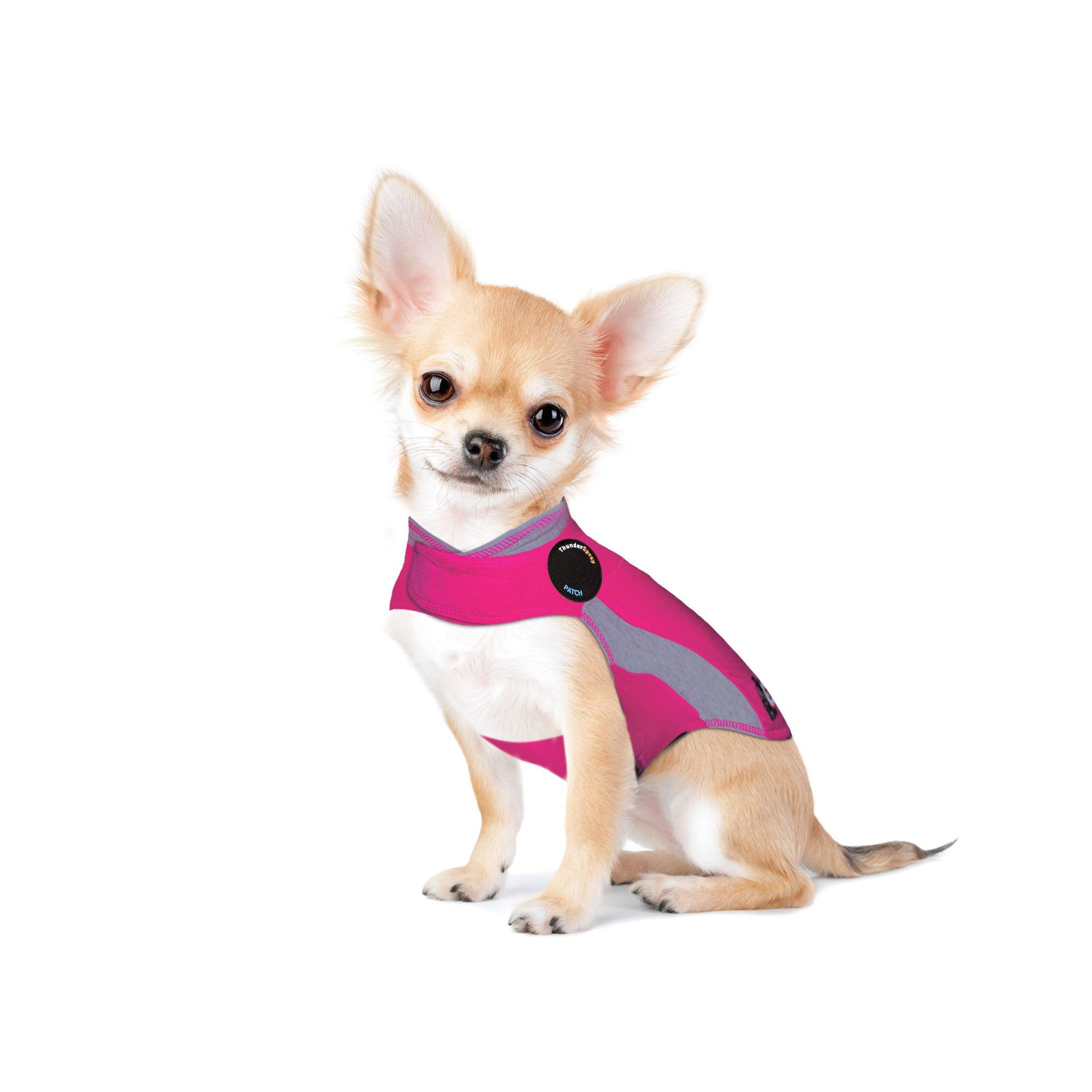 sm-image-7004d3be80d66c62577e1bb6 ThunderShirt® for Dogs