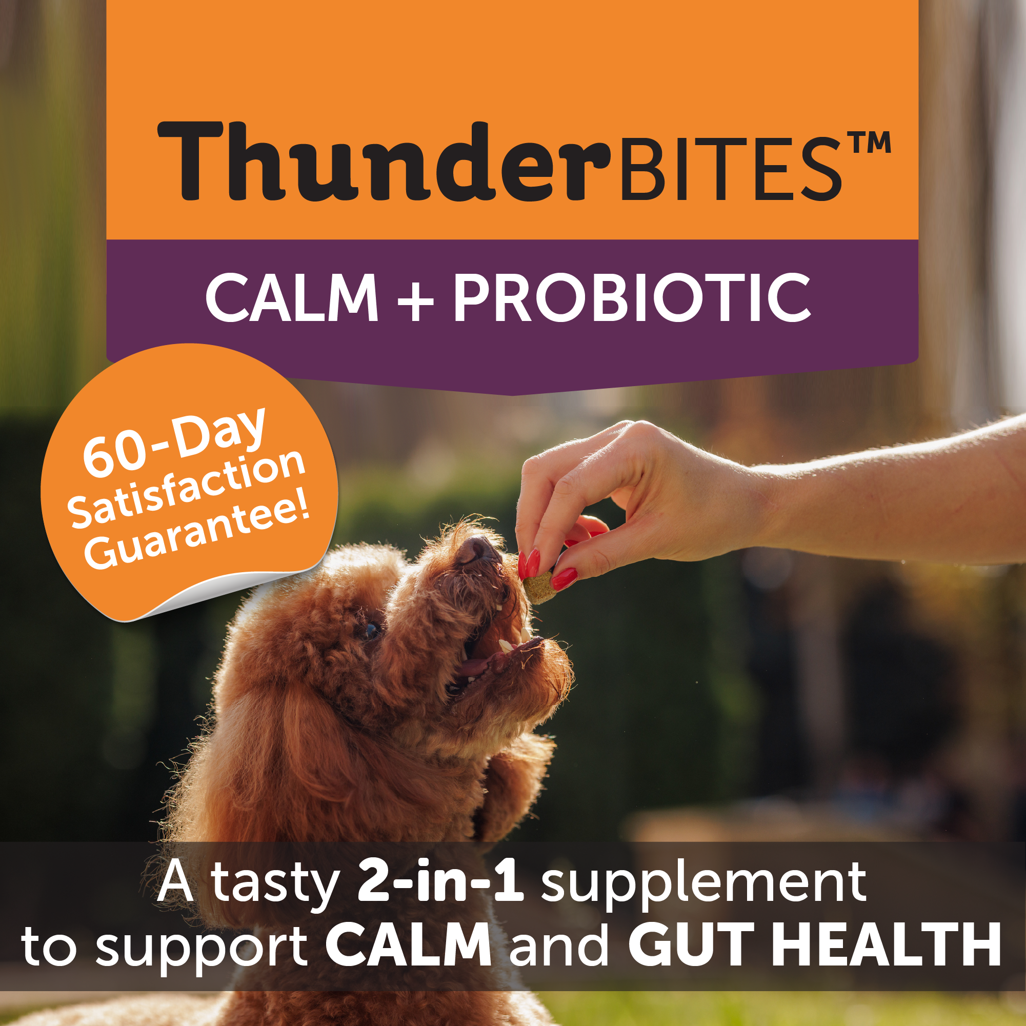 sm-image-81270aac44797ca5bfdb02e8 ThunderBites® Calm + Probiotic Daily Soft Chews for Dogs