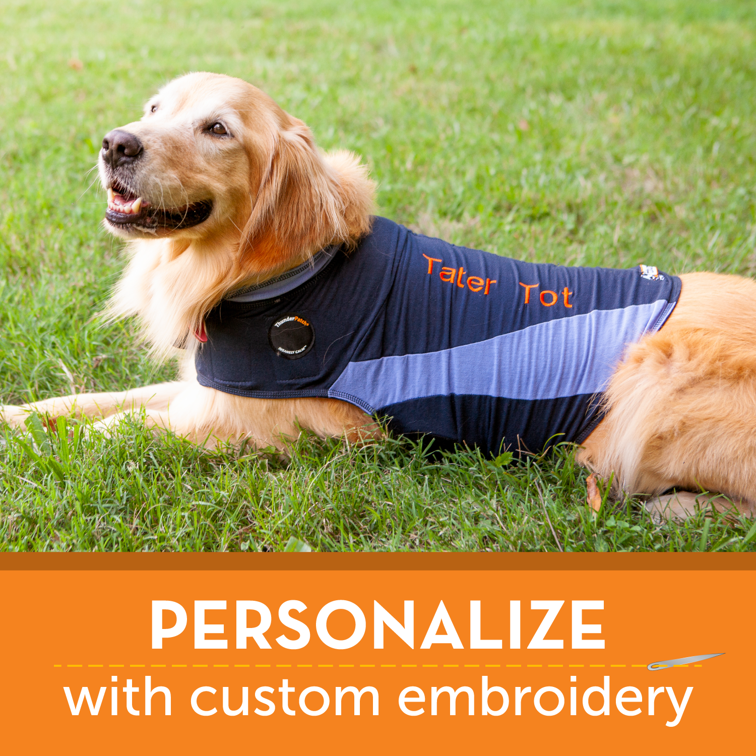 sm-image-8aaf521d48ec3ea73f76d520 ThunderShirt® for Dogs