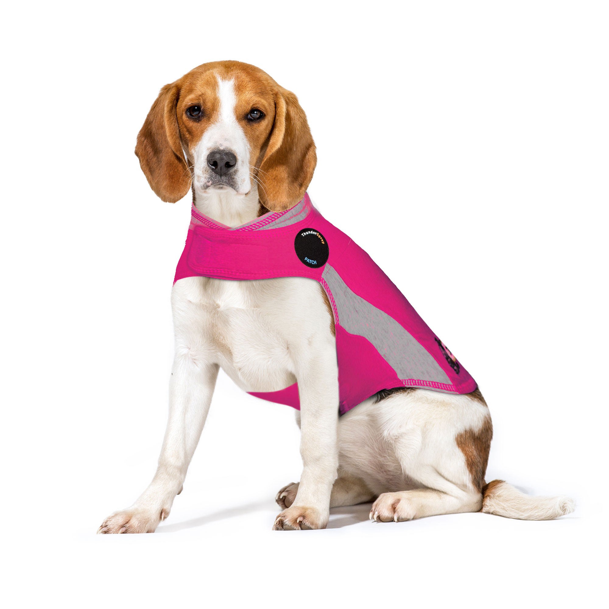 sm-image-8bb9830a3ceff2d5fb42f004 ThunderShirt® for Dogs