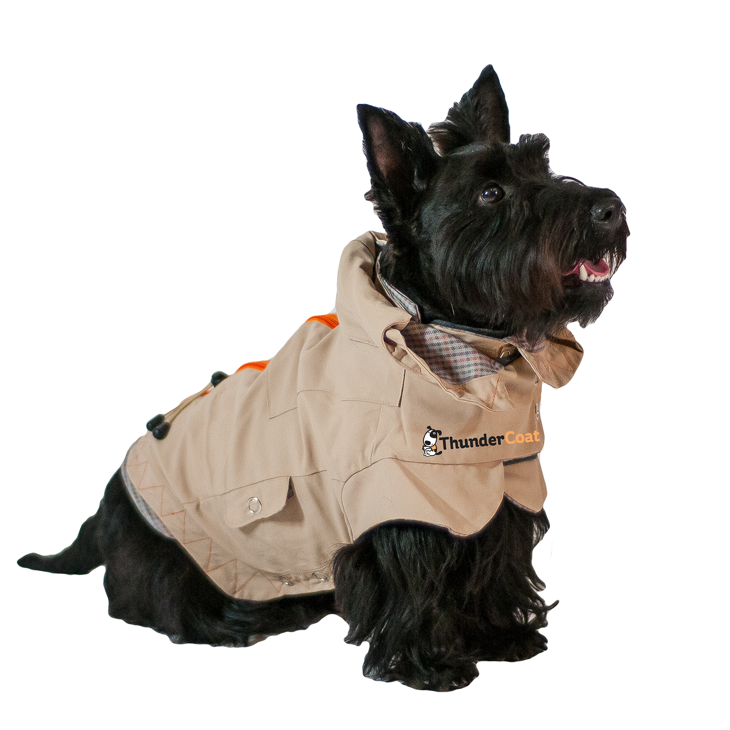 sm-image-9aa5a19b5c4f1519f7ce48ab ThunderShirt and ThunderCoat Combo - Final Sale