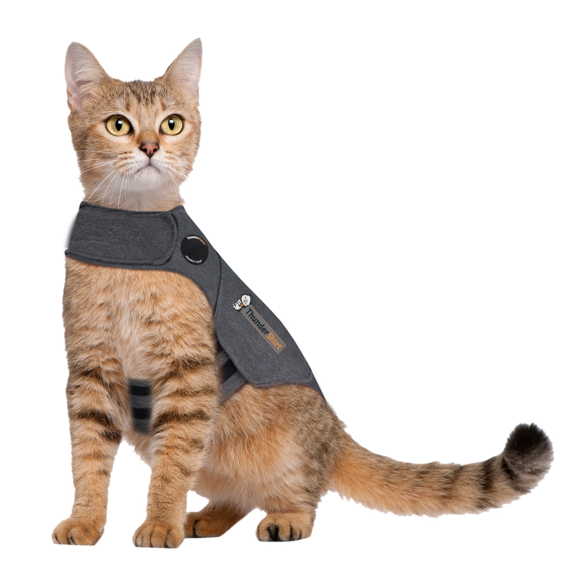 sm-image-9c4f596a8f305acf8e7d48c4 ThunderShirt® for Cats