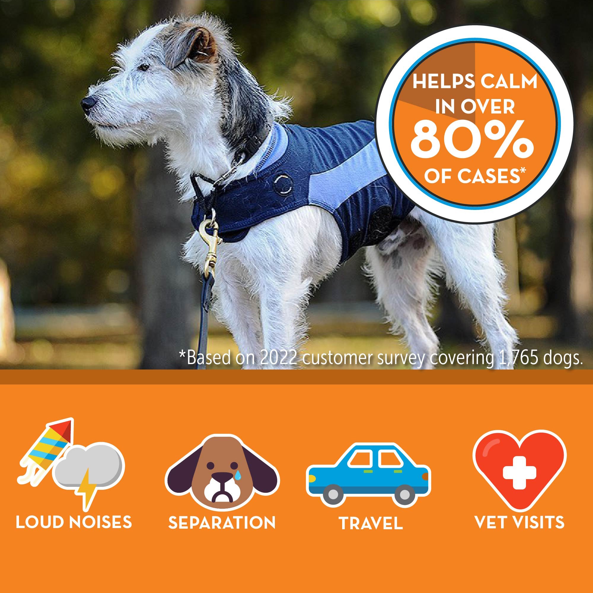 sm-image-9d36e77b9dd4d1edcaea7ec1 ThunderShirt® for Dogs