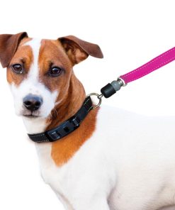 ThunderSnap Quick-Connect Leash for Dogs