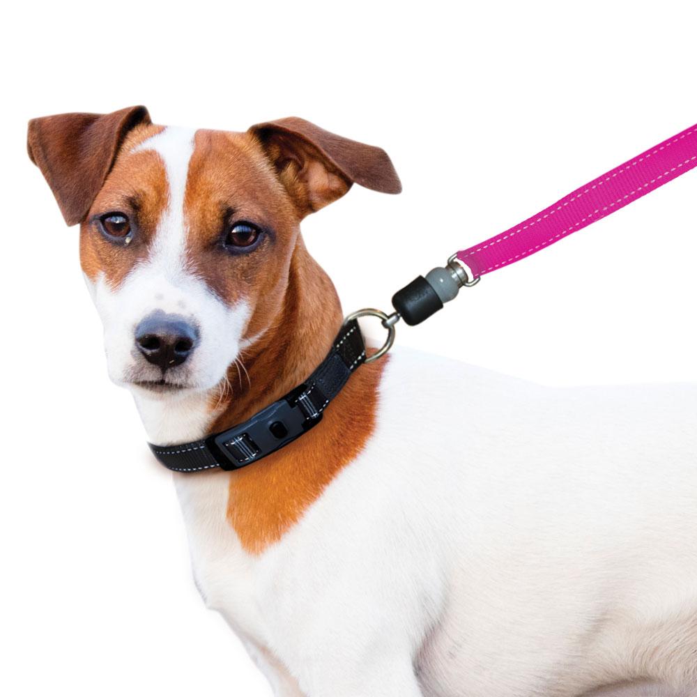sm-image-a2a7f33741d3a9630a352fcf ThunderSnap Quick-Connect Leash for Dogs