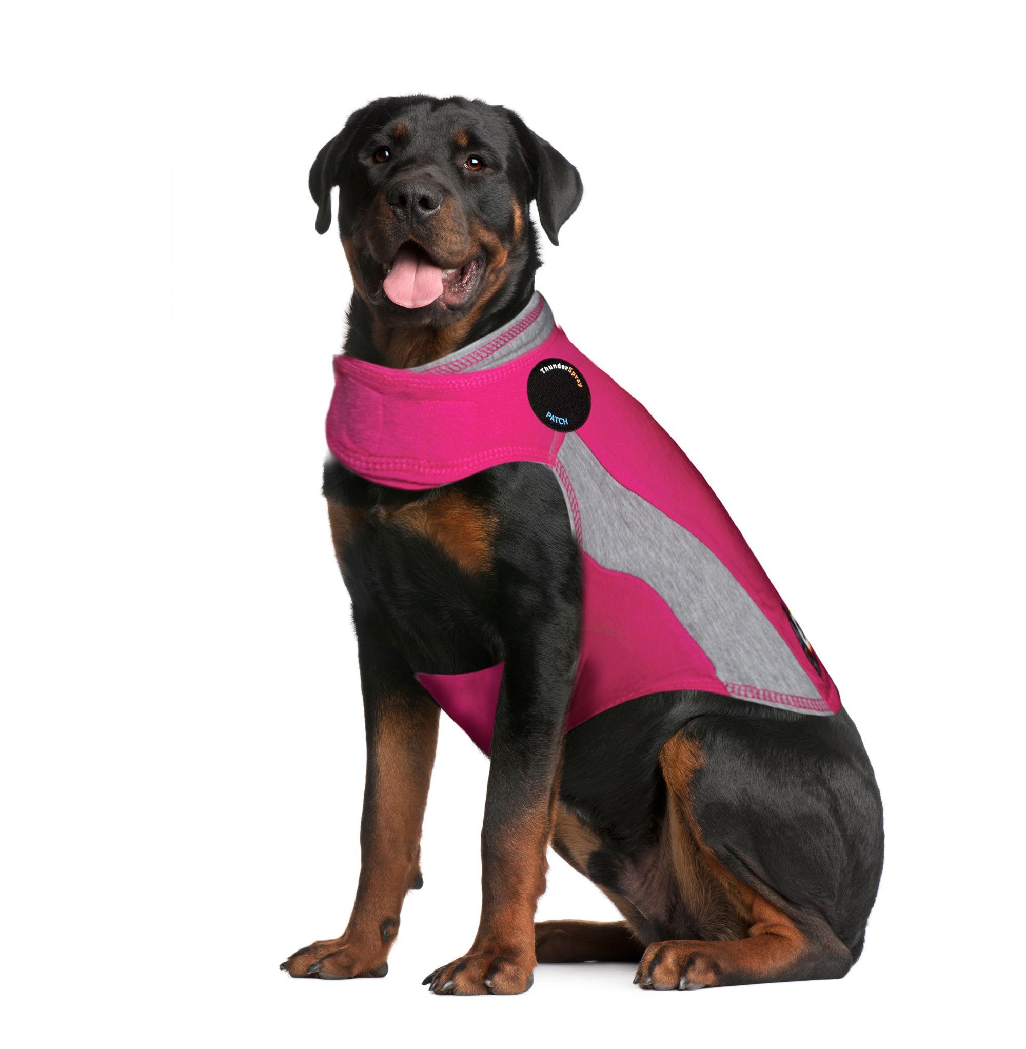 sm-image-a534c992bb2aa40b76a34dcf ThunderShirt® for Dogs