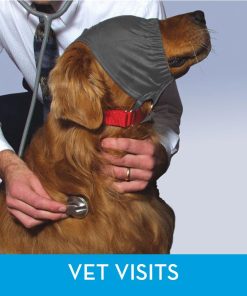 ThunderCap for Dogs
