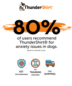 ThunderShirt® for Dogs