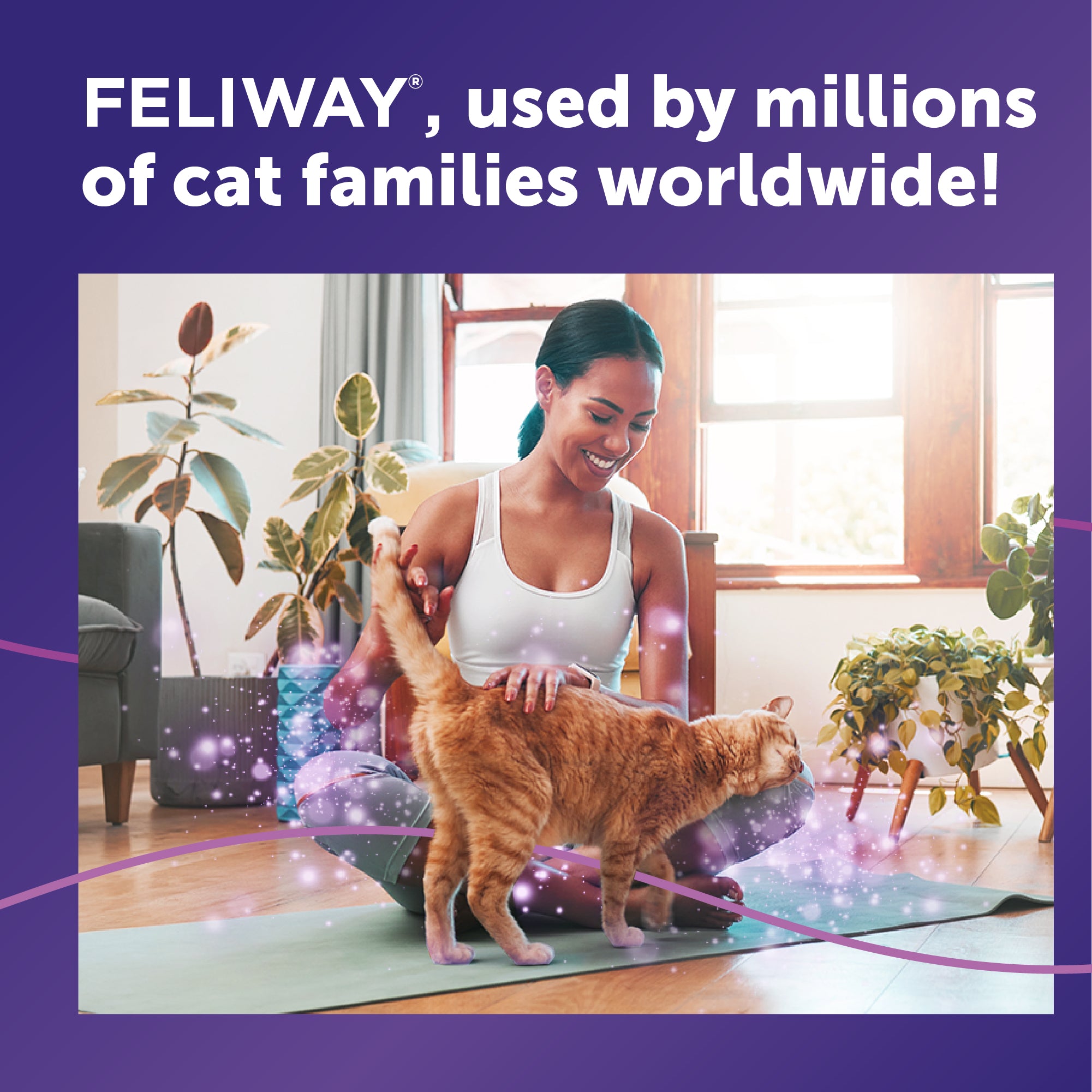 sm-image-a99b4cb6c5e79a601b0c346a FELIWAY® Classic Spray