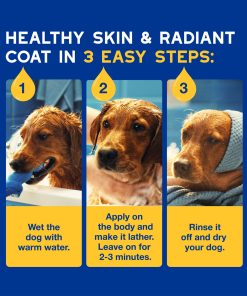 Dog grooming instructions with three steps on a blue background. Step 1 Wet the dog with warm water. Step 2: Apply on the body and make it lather. Leave on for 2-3 minutes. Step 3: Rinse it off and dry your dog.