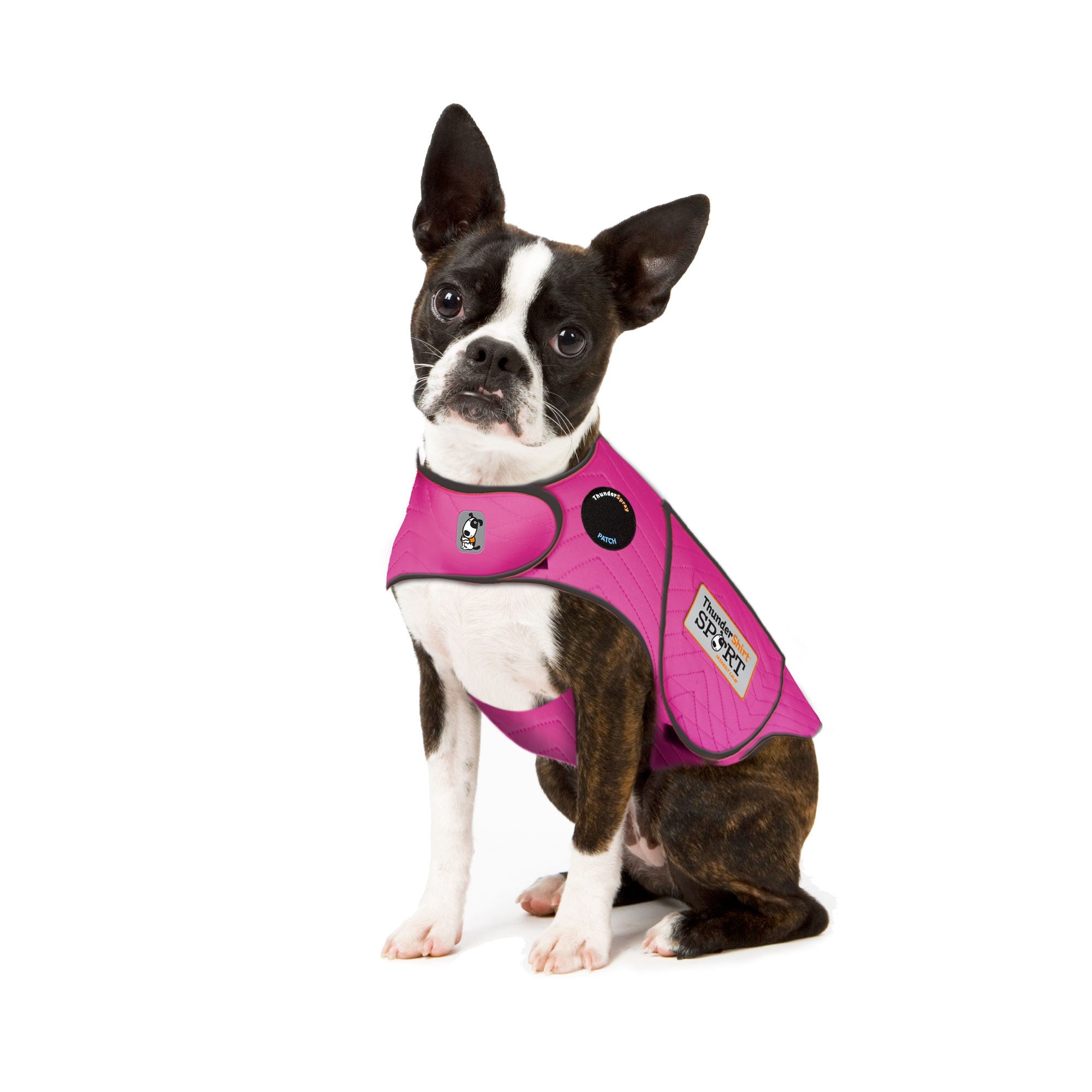 sm-image-ba8116b7d3f47c1a230c9400 ThunderShirt® for Dogs
