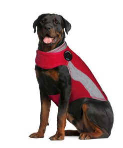 ThunderShirt® for Dogs