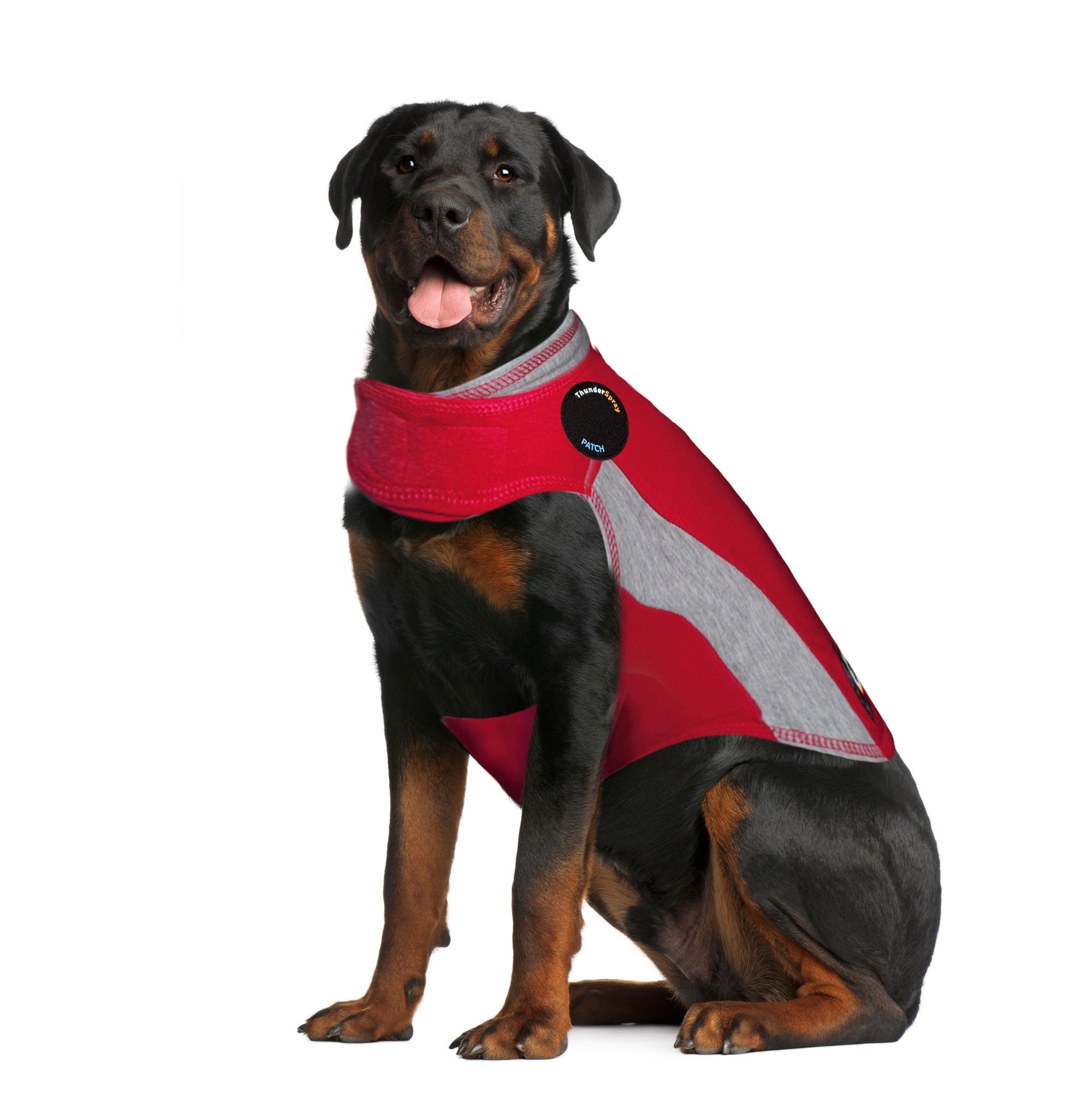 sm-image-bf1f28a7b121a6a0ea63fc3f ThunderShirt® for Dogs