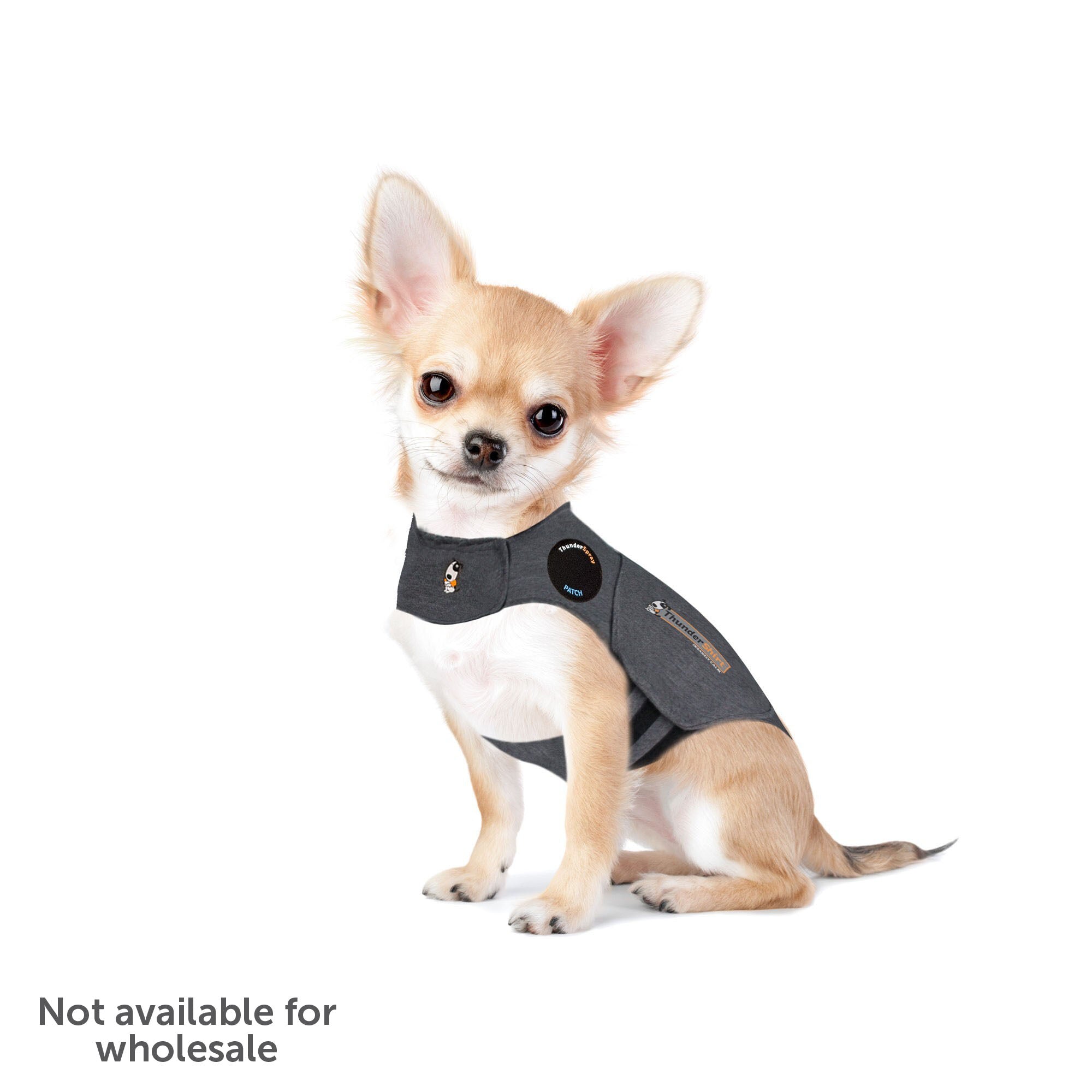 sm-image-d0613cfac2100433531c95b7 ThunderShirt® for Dogs