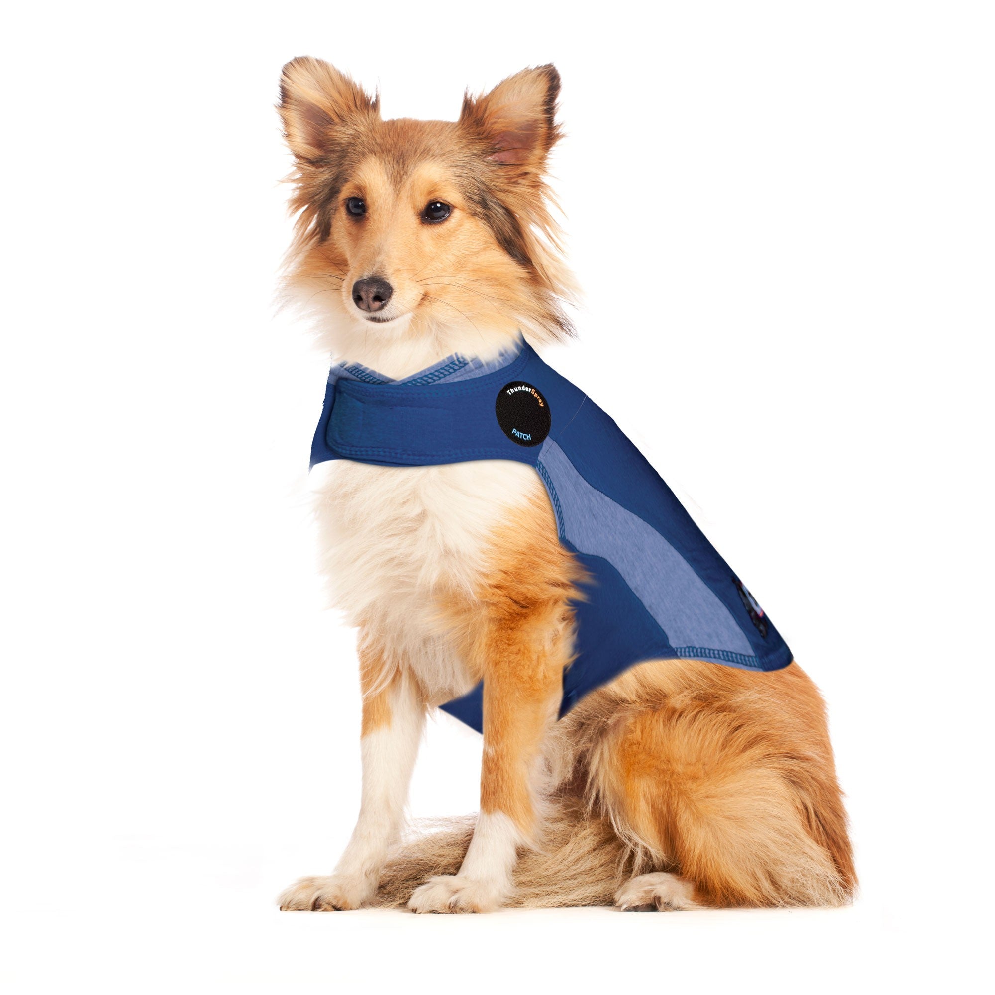 sm-image-d36b6219a1cf7911860afbb6 ThunderShirt® for Dogs