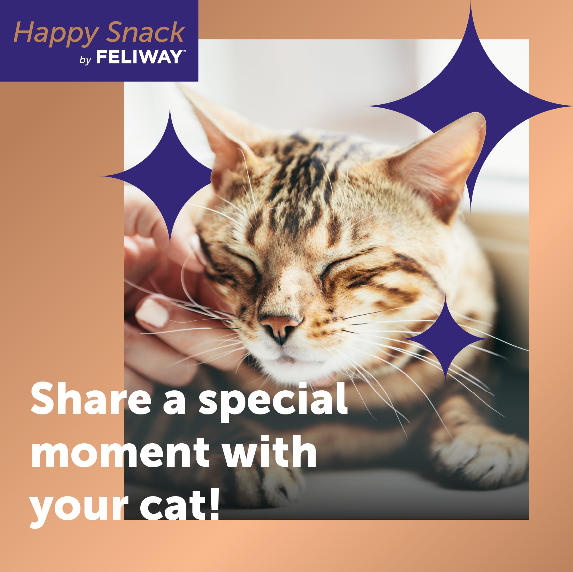 sm-image-ee9eabbb5bbad99b0c6c0d1f Happy Snack by FELIWAY®, 12 Pack (0.5oz Tubes)