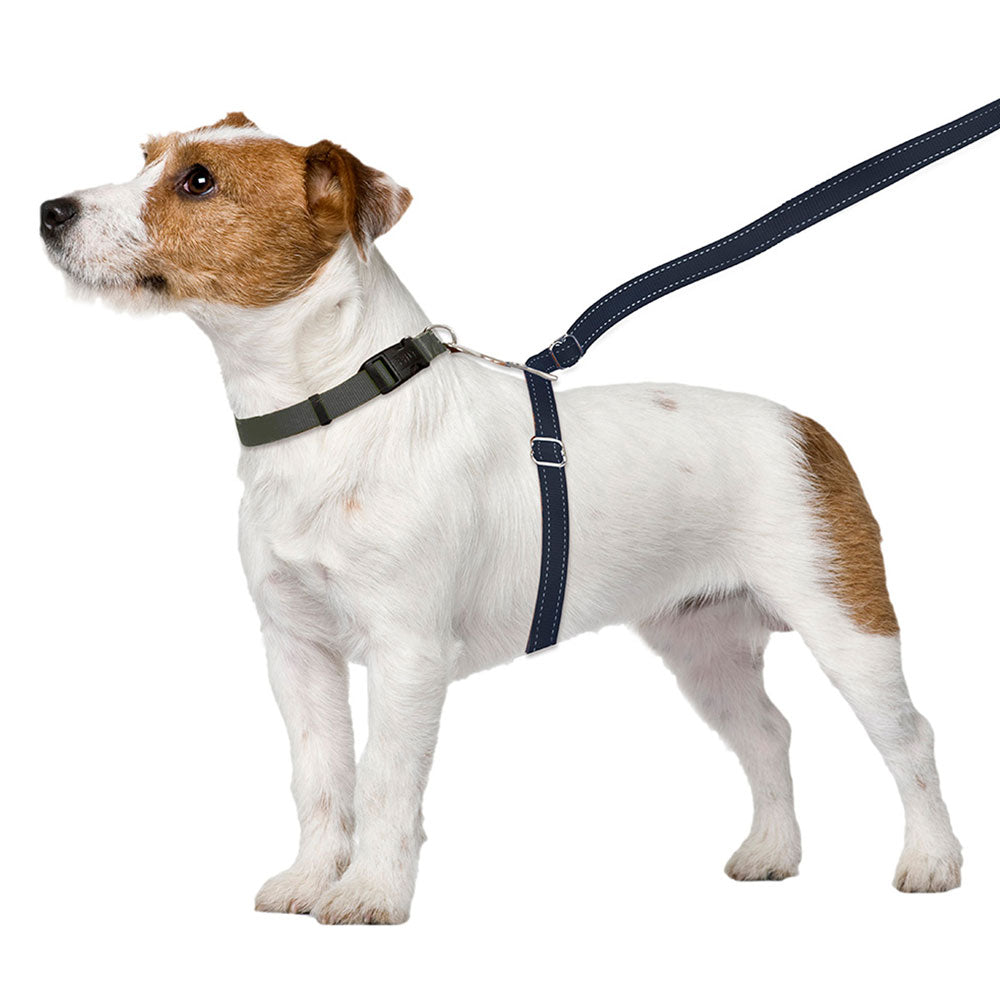 sm-image-f5b45b9905e40f80f5ba705c ThunderLeash®
