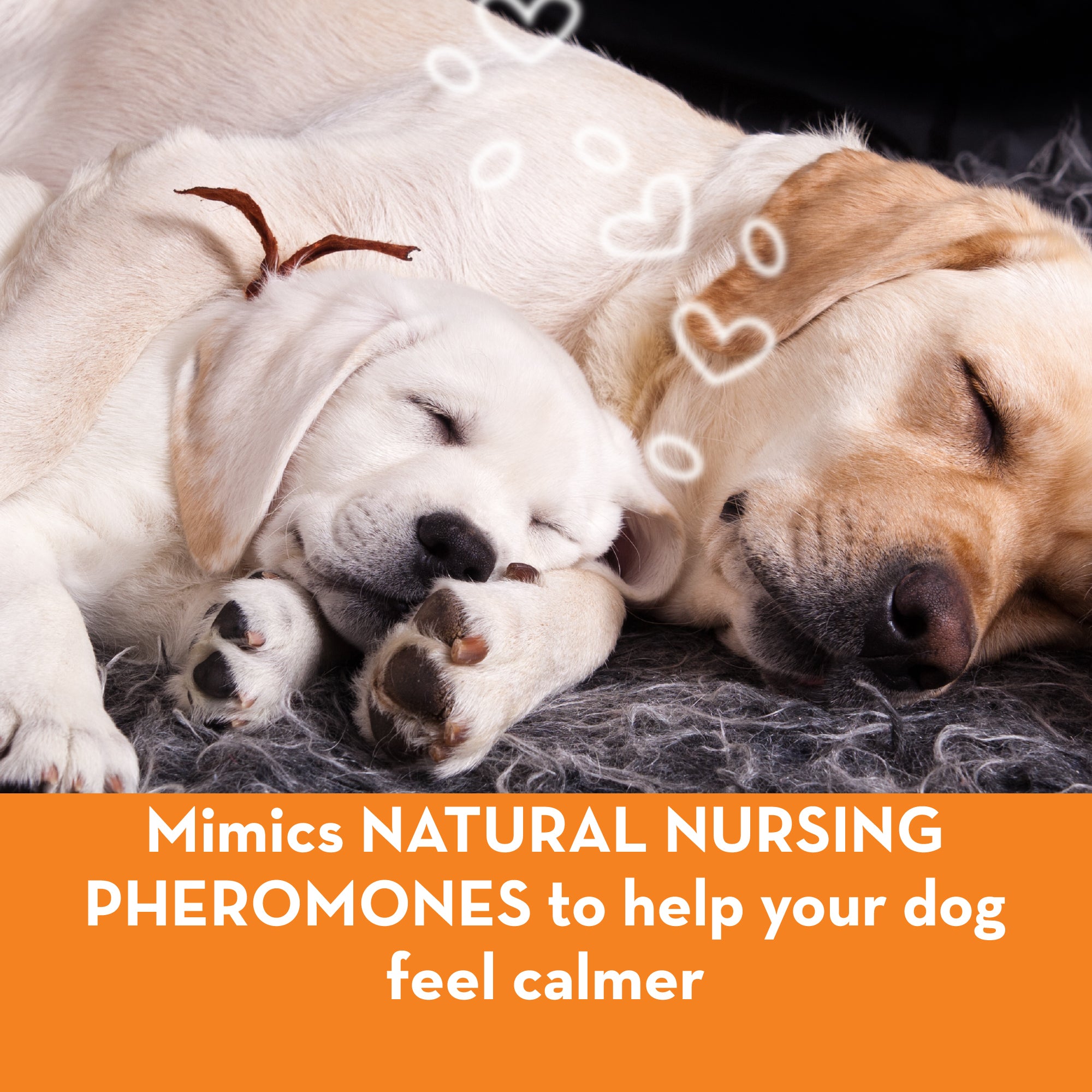 sm-image-f642188be2d2c9ee092d069d ThunderEase® for Dogs - Calming Diffuser Refill