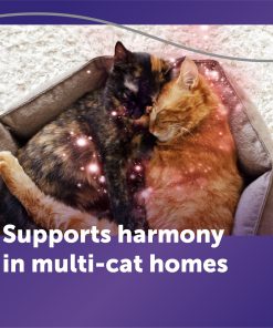 FELIWAY® Optimum Refill